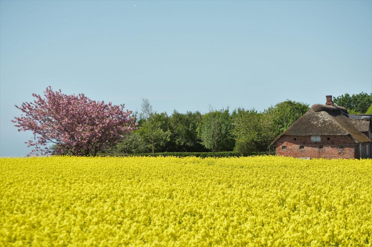 Bed & Kitchen „Den Gamle Skole“ Nr. Sejerslev Bed & Breakfast Hojer Exterior photo
